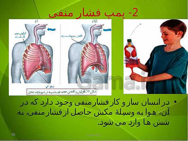 پاورپوینت فصل سوم زیست دهم: تبادلات گازی- پیش نمایش