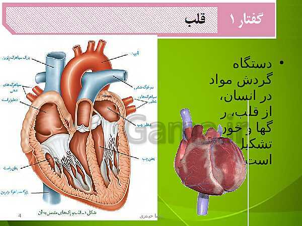 پاورپوینت فصل چهارم زیست دهم: گردش مواد در بدن- پیش نمایش