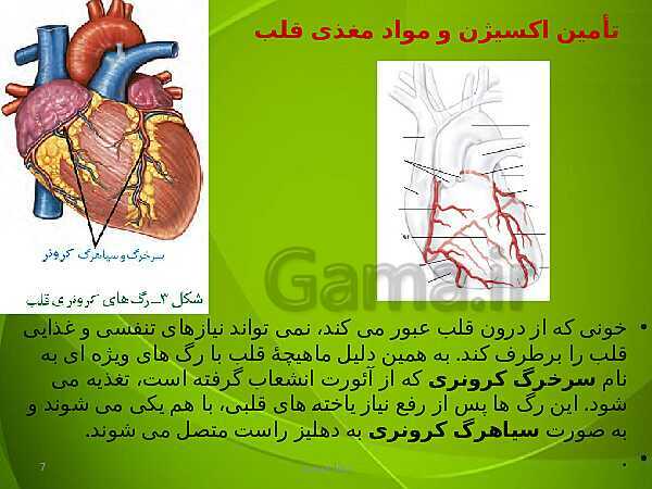 پاورپوینت فصل چهارم زیست دهم: گردش مواد در بدن- پیش نمایش