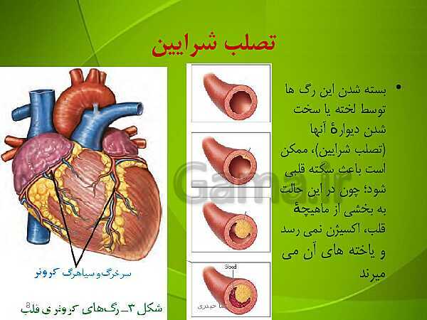 پاورپوینت فصل چهارم زیست دهم: گردش مواد در بدن- پیش نمایش