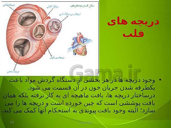 پاورپوینت فصل چهارم زیست دهم: گردش مواد در بدن- پیش نمایش