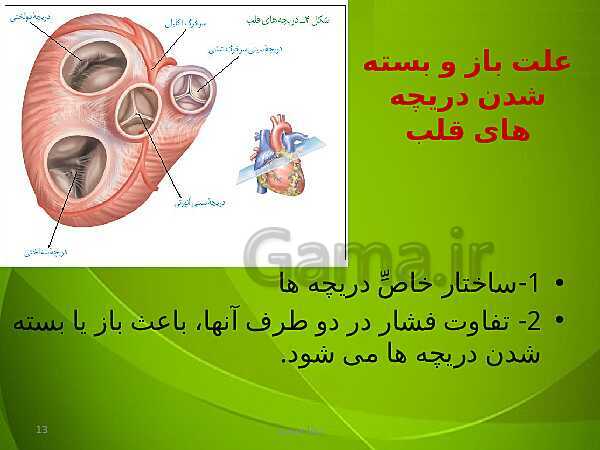 پاورپوینت فصل چهارم زیست دهم: گردش مواد در بدن- پیش نمایش