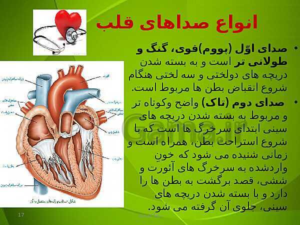 پاورپوینت فصل چهارم زیست دهم: گردش مواد در بدن- پیش نمایش