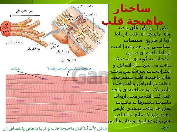 پاورپوینت فصل چهارم زیست دهم: گردش مواد در بدن- پیش نمایش