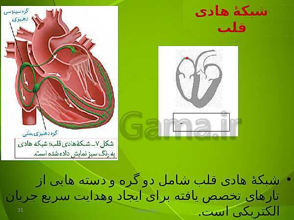 پاورپوینت فصل چهارم زیست دهم: گردش مواد در بدن- پیش نمایش