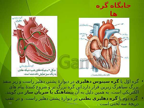 پاورپوینت فصل چهارم زیست دهم: گردش مواد در بدن- پیش نمایش