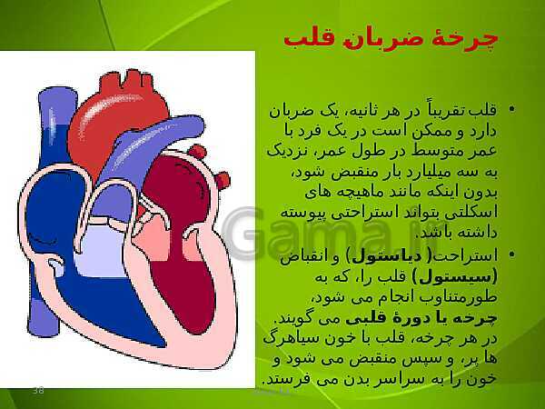 پاورپوینت فصل چهارم زیست دهم: گردش مواد در بدن- پیش نمایش