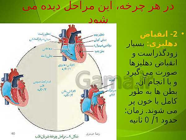 پاورپوینت فصل چهارم زیست دهم: گردش مواد در بدن- پیش نمایش