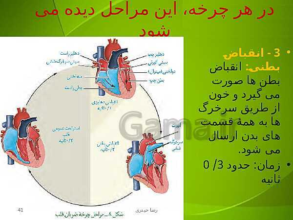 پاورپوینت فصل چهارم زیست دهم: گردش مواد در بدن- پیش نمایش