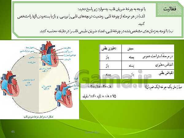 پاورپوینت فصل چهارم زیست دهم: گردش مواد در بدن- پیش نمایش