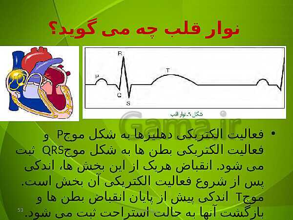 پاورپوینت فصل چهارم زیست دهم: گردش مواد در بدن- پیش نمایش