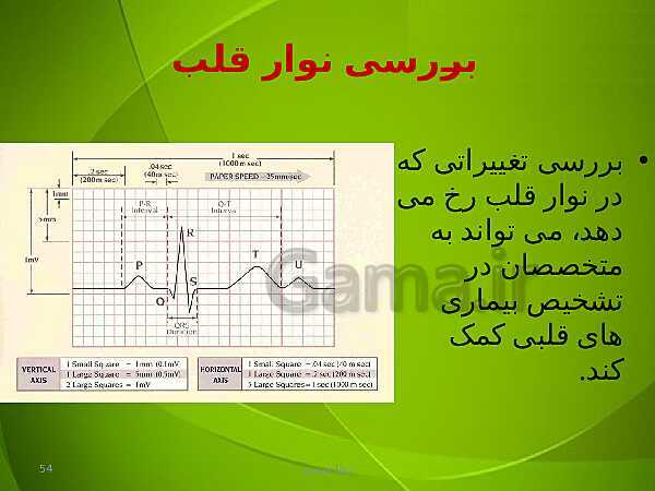 پاورپوینت فصل چهارم زیست دهم: گردش مواد در بدن- پیش نمایش