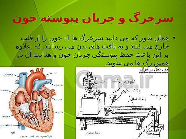 پاورپوینت فصل چهارم زیست دهم: گردش مواد در بدن- پیش نمایش