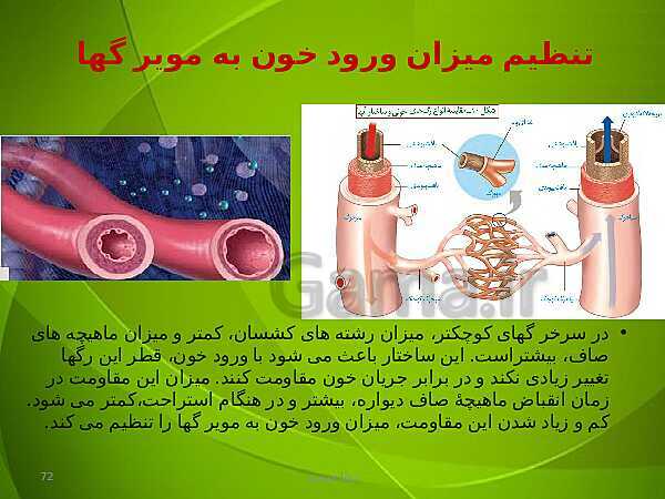 پاورپوینت فصل چهارم زیست دهم: گردش مواد در بدن- پیش نمایش