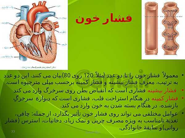 پاورپوینت فصل چهارم زیست دهم: گردش مواد در بدن- پیش نمایش