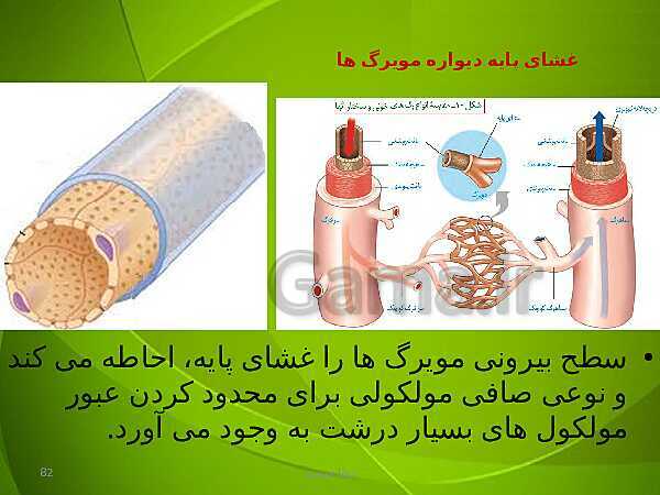 پاورپوینت فصل چهارم زیست دهم: گردش مواد در بدن- پیش نمایش