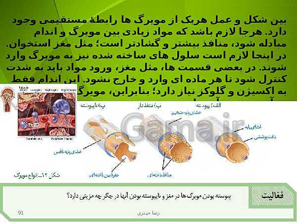 پاورپوینت فصل چهارم زیست دهم: گردش مواد در بدن- پیش نمایش