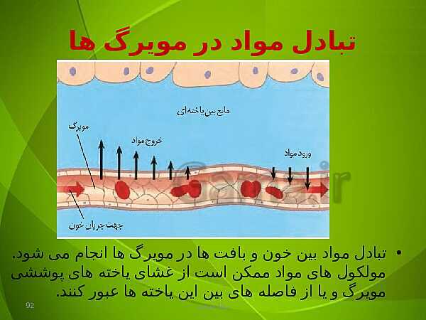 پاورپوینت فصل چهارم زیست دهم: گردش مواد در بدن- پیش نمایش