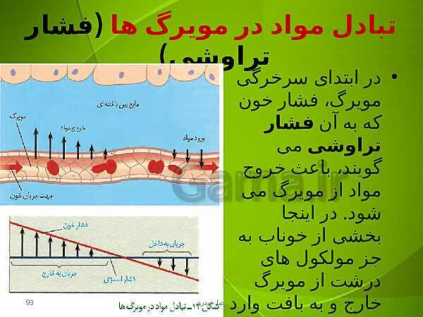 پاورپوینت فصل چهارم زیست دهم: گردش مواد در بدن- پیش نمایش