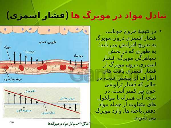 پاورپوینت فصل چهارم زیست دهم: گردش مواد در بدن- پیش نمایش