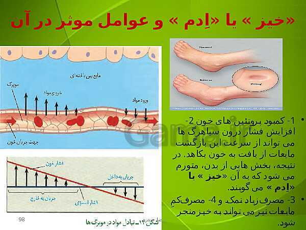 پاورپوینت فصل چهارم زیست دهم: گردش مواد در بدن- پیش نمایش