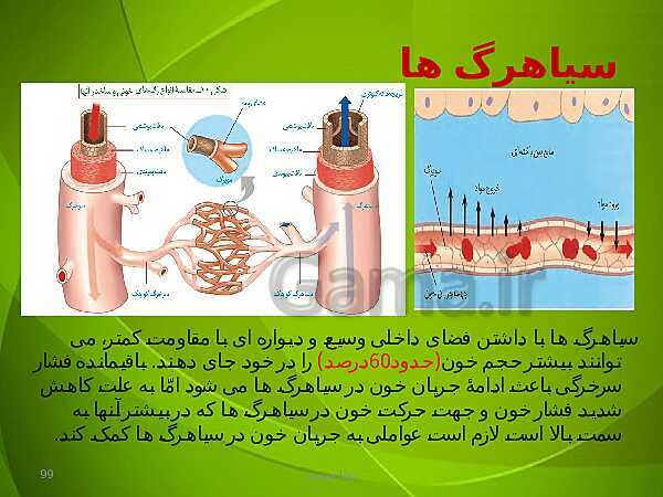 پاورپوینت فصل چهارم زیست دهم: گردش مواد در بدن- پیش نمایش