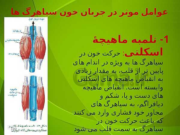 پاورپوینت فصل چهارم زیست دهم: گردش مواد در بدن- پیش نمایش