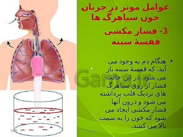 پاورپوینت فصل چهارم زیست دهم: گردش مواد در بدن- پیش نمایش