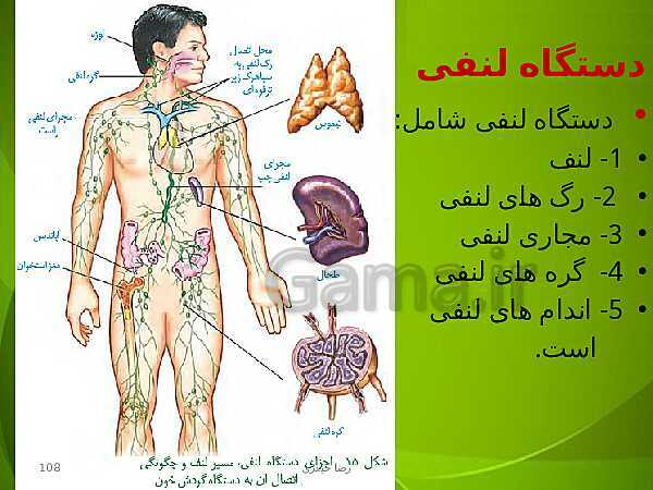 پاورپوینت فصل چهارم زیست دهم: گردش مواد در بدن- پیش نمایش