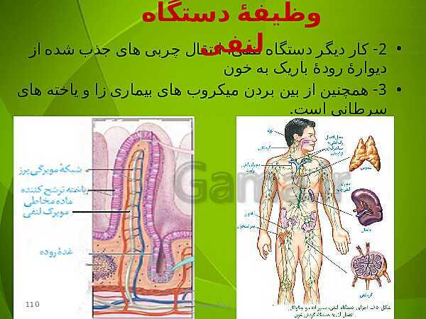 پاورپوینت فصل چهارم زیست دهم: گردش مواد در بدن- پیش نمایش