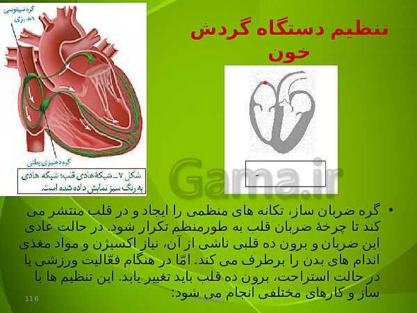 پاورپوینت فصل چهارم زیست دهم: گردش مواد در بدن- پیش نمایش