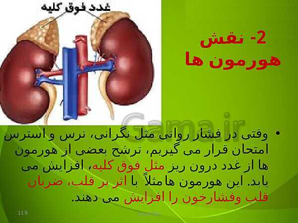 پاورپوینت فصل چهارم زیست دهم: گردش مواد در بدن- پیش نمایش