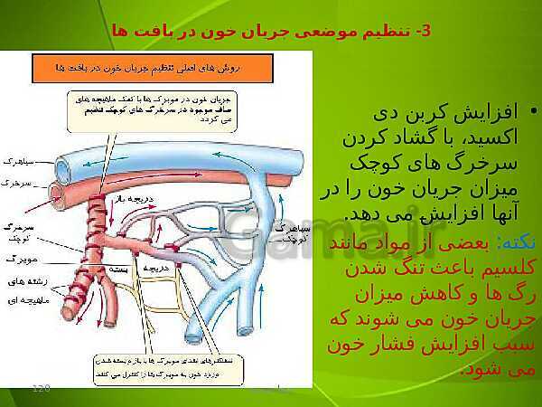 پاورپوینت فصل چهارم زیست دهم: گردش مواد در بدن- پیش نمایش