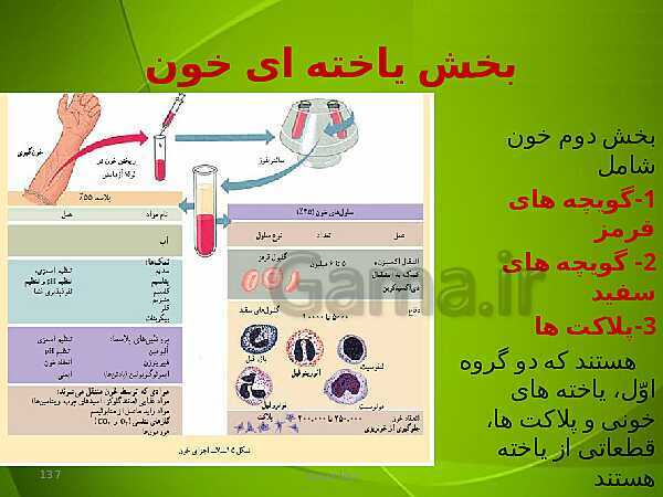 پاورپوینت فصل چهارم زیست دهم: گردش مواد در بدن- پیش نمایش