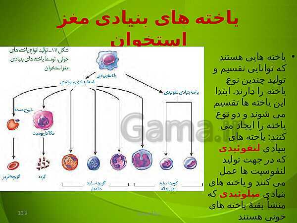 پاورپوینت فصل چهارم زیست دهم: گردش مواد در بدن- پیش نمایش