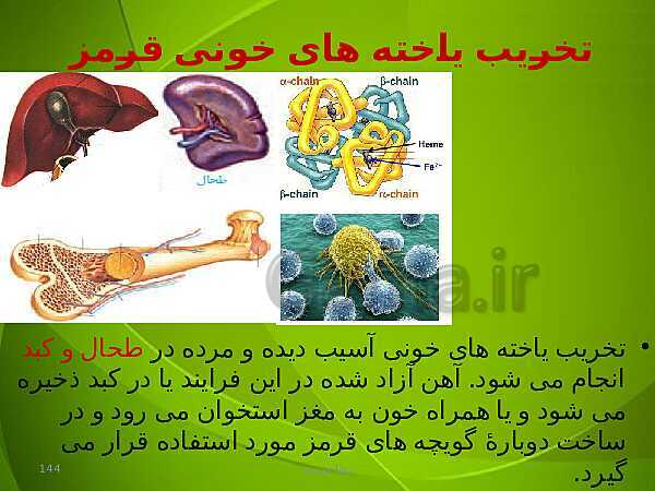 پاورپوینت فصل چهارم زیست دهم: گردش مواد در بدن- پیش نمایش