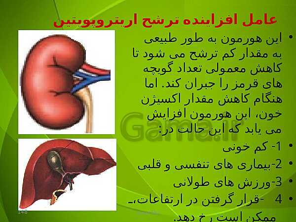 پاورپوینت فصل چهارم زیست دهم: گردش مواد در بدن- پیش نمایش