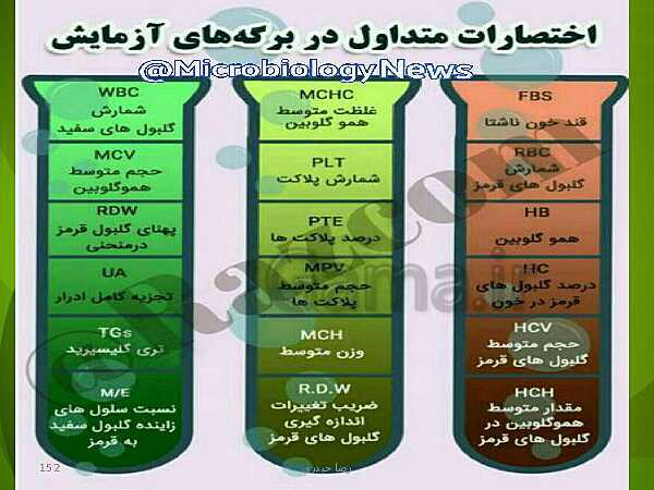 پاورپوینت فصل چهارم زیست دهم: گردش مواد در بدن- پیش نمایش