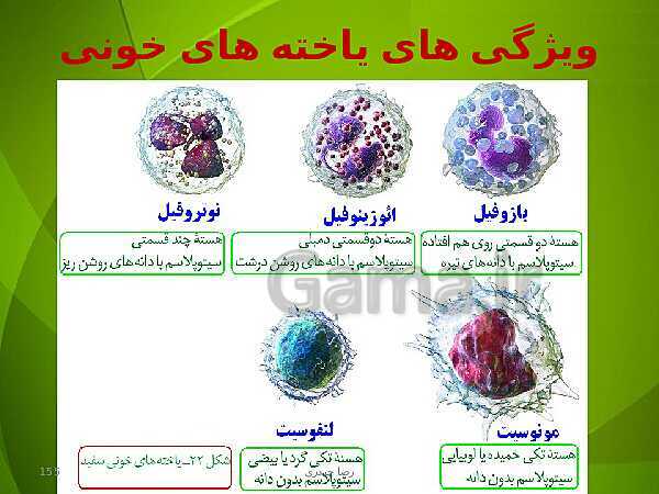 پاورپوینت فصل چهارم زیست دهم: گردش مواد در بدن- پیش نمایش