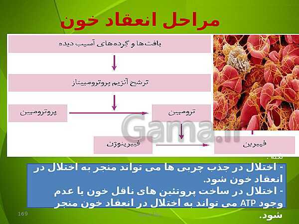 پاورپوینت فصل چهارم زیست دهم: گردش مواد در بدن- پیش نمایش