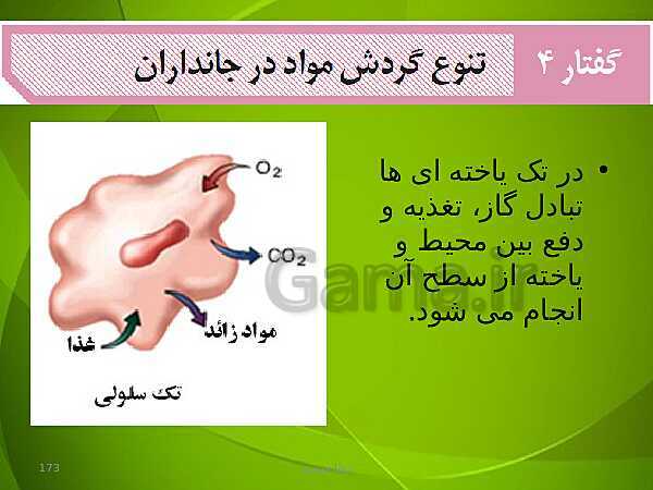 پاورپوینت فصل چهارم زیست دهم: گردش مواد در بدن- پیش نمایش