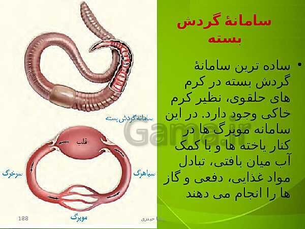 پاورپوینت فصل چهارم زیست دهم: گردش مواد در بدن- پیش نمایش