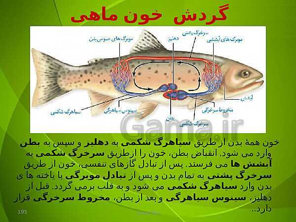 پاورپوینت فصل چهارم زیست دهم: گردش مواد در بدن- پیش نمایش