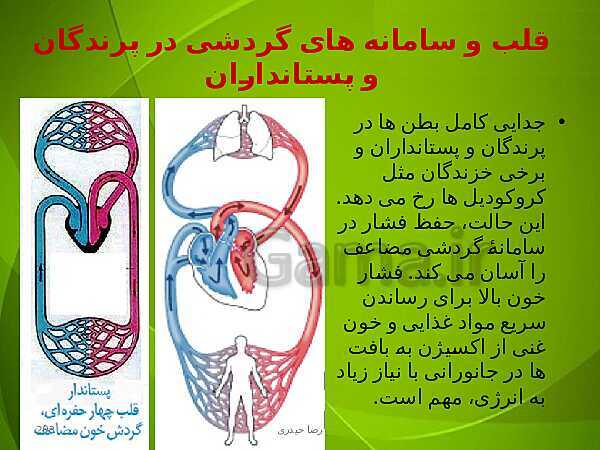 پاورپوینت فصل چهارم زیست دهم: گردش مواد در بدن- پیش نمایش