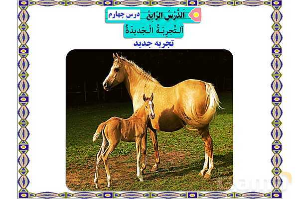 پاورپوینت آموزشی درس 4 عربی هشتم- پیش نمایش