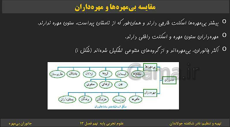 پاورپوینت تدریس فصل 13 کتاب علوم تجربی نهم: جانوران بی‌مهره- پیش نمایش