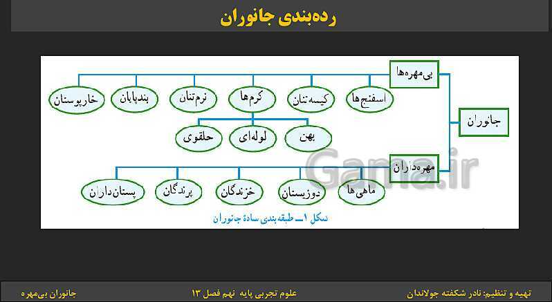 پاورپوینت تدریس فصل 13 کتاب علوم تجربی نهم: جانوران بی‌مهره- پیش نمایش