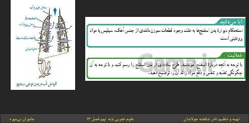 پاورپوینت تدریس فصل 13 کتاب علوم تجربی نهم: جانوران بی‌مهره- پیش نمایش