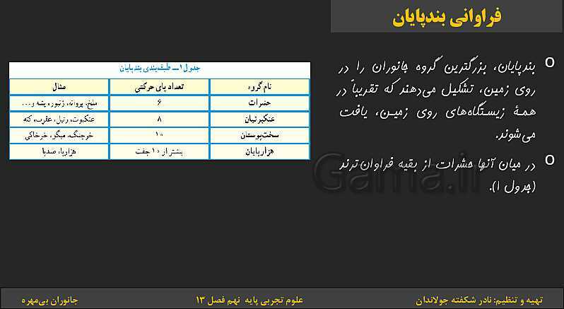 پاورپوینت تدریس فصل 13 کتاب علوم تجربی نهم: جانوران بی‌مهره- پیش نمایش