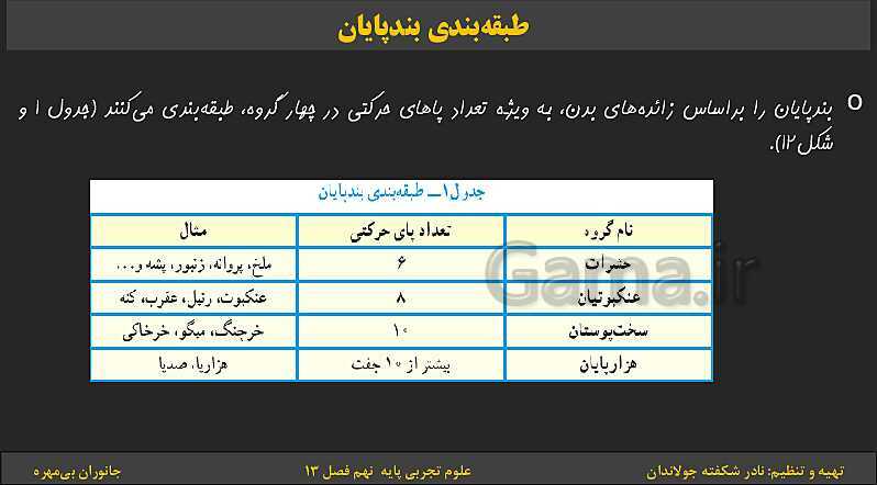 پاورپوینت تدریس فصل 13 کتاب علوم تجربی نهم: جانوران بی‌مهره- پیش نمایش